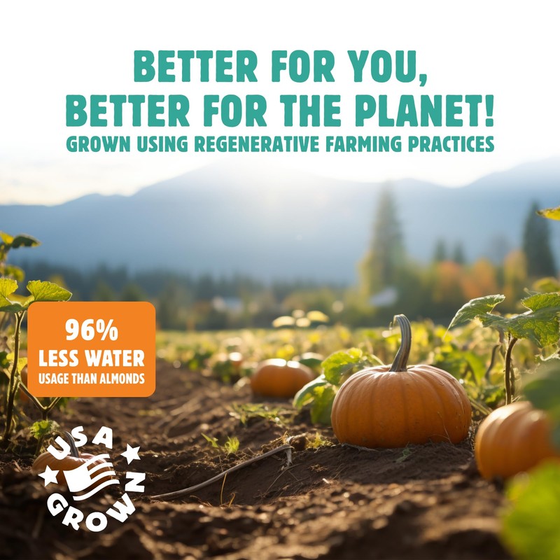 Top Fox Snacks Ranch Sunflower Seeds To Eat (5.5 oz,