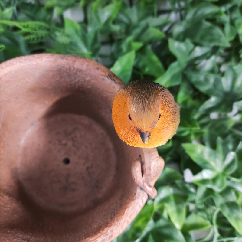 Vivid Arts - Robin on a Rusty Pale - BS-RB05-D