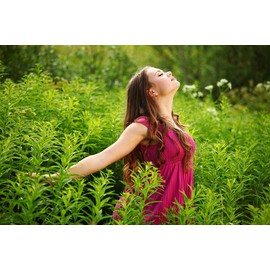 Cellavita Iodine Natur Vita | Made from Kelp Algae with Astaxanthin - Brown Algae Blue Algae Blood Rain Algae | Natural Iodine Source | Seaweed without Additives | 300 Capsules