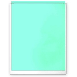 Self-Adhesive Pockets, 9 X 11-1/2 inches, 9 mil Thickness, 25 Pockets per Pack, (103-10109-25)