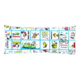 Snoopy 0221 Women's Pencil Case, Pencil Case, Accessory Case, Glasses Case, Clear Multi Case, L Size, Slim, Blue (SPZ-3122)