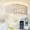 Caged Ceiling Fan with Light and Remote & App for