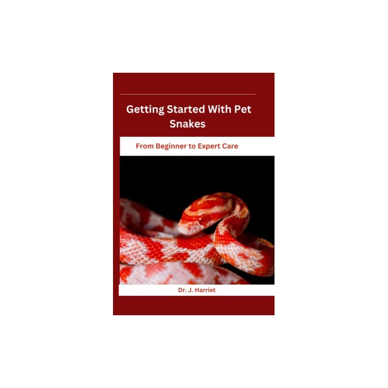 Getting Started With Pet Snakes: From Beginner to Expert Care