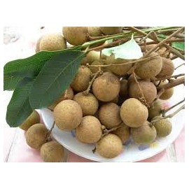 Fresh Logan Fruits (5 LBS)