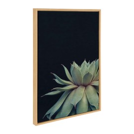 Kate and Laurel Sylvie Succulent 8, Succulent 1, and Succulent 5 Framed Canvas Wall Art Set by Emiko and Mark Franzen of F2Images, 3 Piece Set Natural, Modern Dramatic Botanical Wall Décor