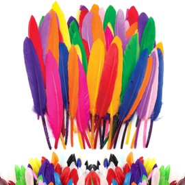 100 Pcs Feathers for Crafting, Feathers, Craft Feathers, Coloured Feathers, Colorful Craft Feather in Bright Colors, Feather Decoration Crafts for DIY Dream Catcher Hat Vase Mask