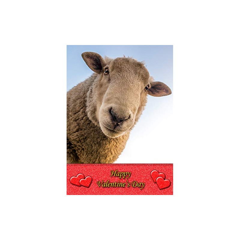 Sheep Animal Valentines Day Card