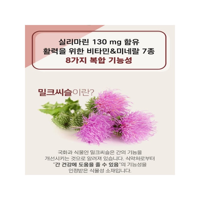 Smile Ren 밀크시슬 간장 간 지방 수치 간 피곤할때 약1달분
