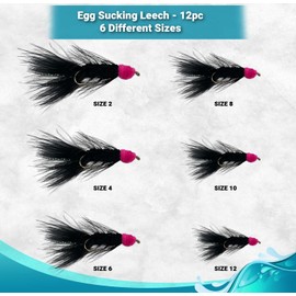 Feeder Creek 12pc Egg Sucking Leech Fly Fishing Streamers Perfect for Salmon, Steelhead, and Other Freshwater Fish (Black-Pink, 10)