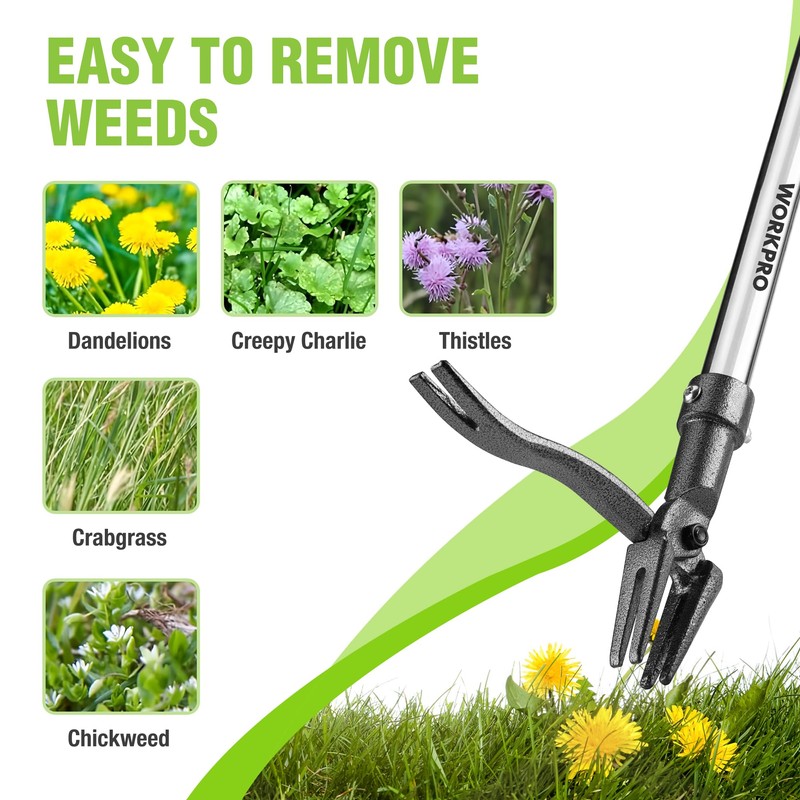 WORKPRO Weed Puller Tool with Long Adjustable Handle (33", 46"),
