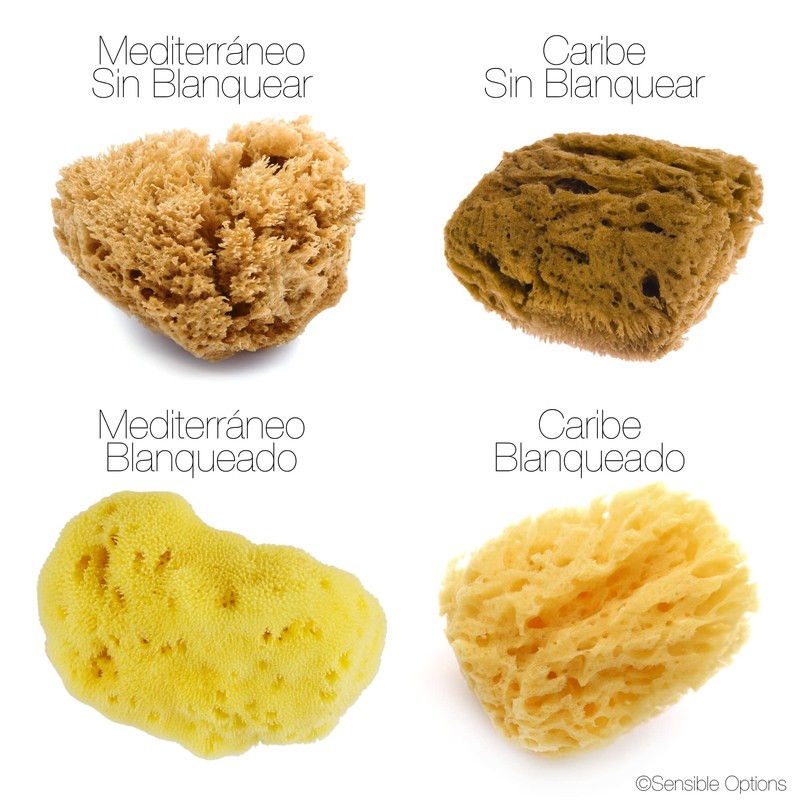 IntimateCare Sea Sponges. Mediterranean “Fine Silk” Sponges in Plastic Free