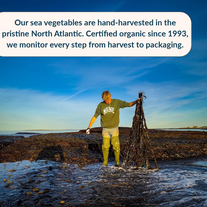 Maine Coast Sea Vegetables Kombu Sugar Kelp Leaf Bag |