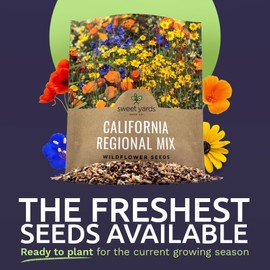 SWEET YARDS California Wildflower Mixture - Bulk 1 Ounce Packet - Over 7,000 Native Seeds - Open Pollinated and Non GMO