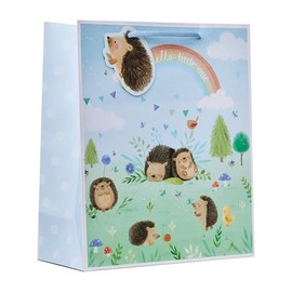 Design By Violet Hugo Hedgehog Medium Gift Bag – 'Hello Little One' Message – Cute Hedgehog with Blue & Green Design – Ideal for Newborns, Baby Showers & Baby Boys
