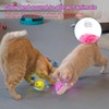 DILISS Cat Toys, Interactive Cat Toy for Indoor Cats, Catnip