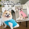 Dog Sweaters 2-Pack Australia - Warm Knitted Turtleneck Jumpers for