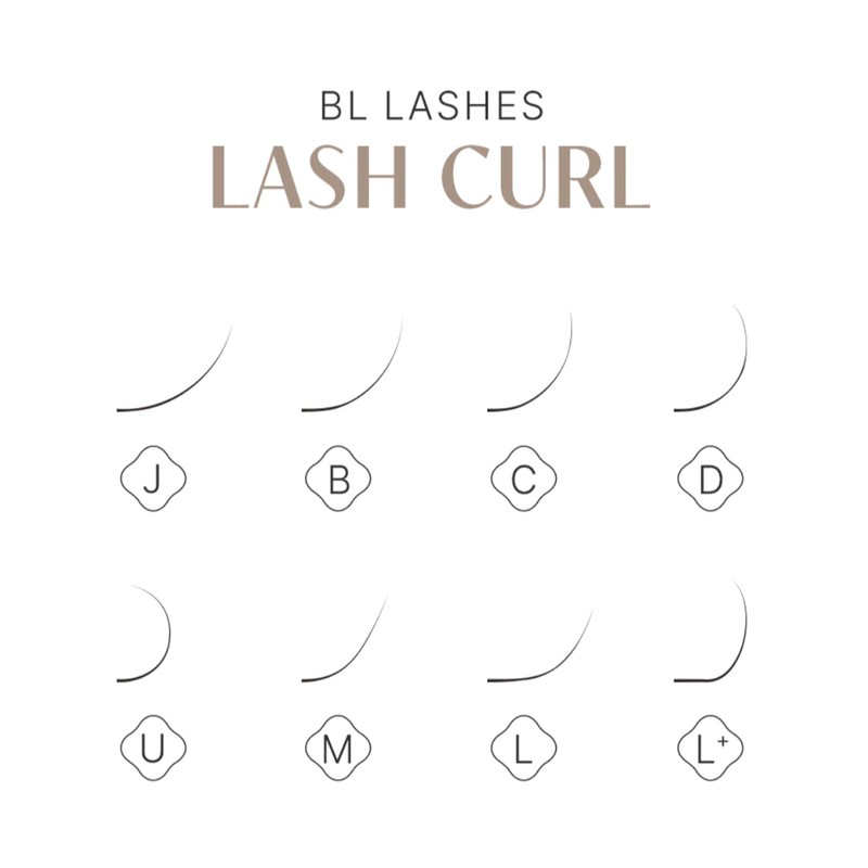 BL Lash Super Flat Flat Cap Deep Brown Eyelashes C