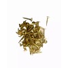 Brass Plated Steel Trunk Tacks 3/4" Long 2 OZ Pack