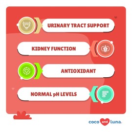 Arándano Para Perros Soporte Tracto Urinario Y Salud Vejiga