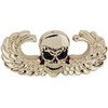 Winged Skull Pin 1 3/8"