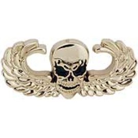 Winged Skull Pin 1 3/8"