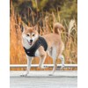 Olchi [올치] 빛 반사 콤비 하네스 B 3종(택1) [Olchi] Light Reflective Combi Harness B 3 Types (Choose 1)