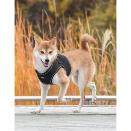 Olchi [올치] 빛 반사 콤비 하네스 B 3종(택1) [Olchi] Light Reflective Combi Harness B 3 Types (Choose 1)