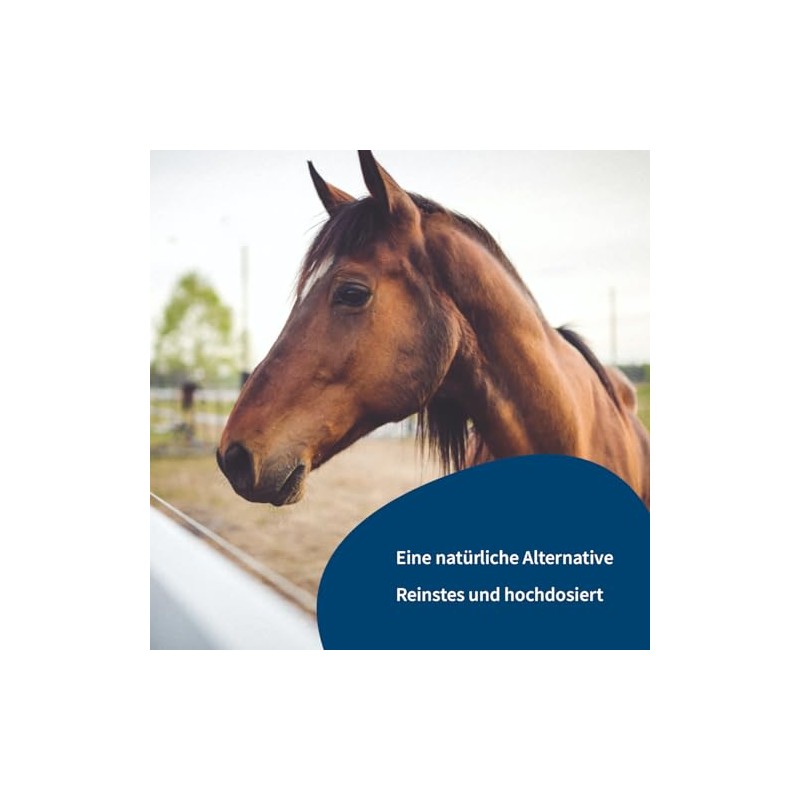 Pferd & Pony PEA (Palmitoylethanolamide) Powder 100% Pure High Dose