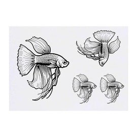 4 x 'Betta Fish Swimming Gracefully' Temporary Tattoos - Water Resistant, Skin-Safe, Non-Toxic Transfers, Mixed Sizes (TO00071288)
