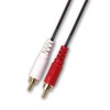SatelliteSale 2 Male to 2 Male RCA Audio Stereo Composite