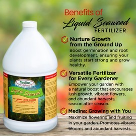 Medina Liquid Seaweed Fertilizer for Plants - Concentrated Seaweed Fertilizer for Lawn and Garden - Enhances Plant Growth and Soil Health - Ready to Spray - 1 Gallon Covers 64000 Sq. Ft.