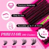 PURELEOR Cluster Lashes 50D Curl Individual Clusters Lash Mega Volume