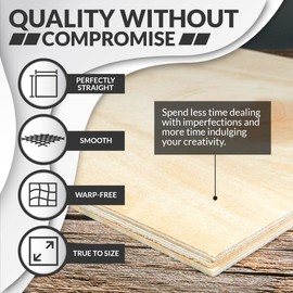 Basswood Sheets for Crafts 1/8 inch, 3mm Plywood Sheets for Laser Cutting, Wood Burning, Architectural Models, Drawing - 10 Pack Bass Wood 12 x 12 inch (SS Custom Products)