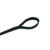 Horse Lunge Line/Large Dog Training Walking Lead Leash 25mm Padded
