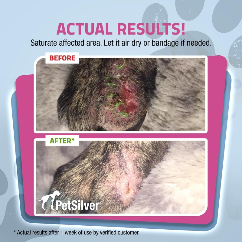 PetSilver Wound & Skin Spray - Dog Wound Spray, Hot