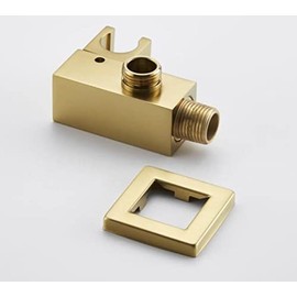 Esnbia-RL-Brushed Gold shower holder