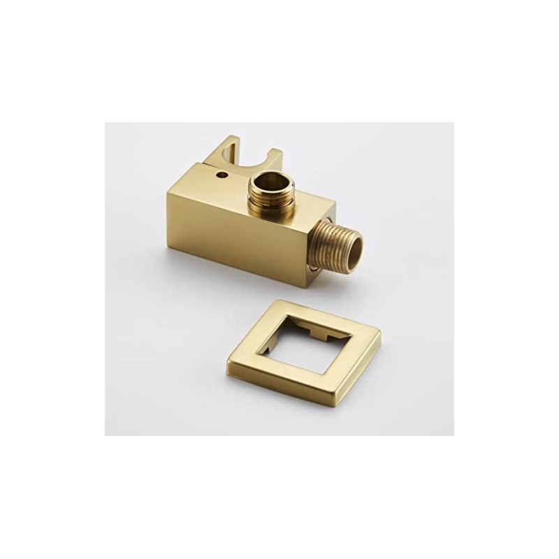 Esnbia-RL-Brushed Gold shower holder