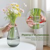 Wekuw Spiral Flower Stem Holder, Pack of 2 Transparent Flower