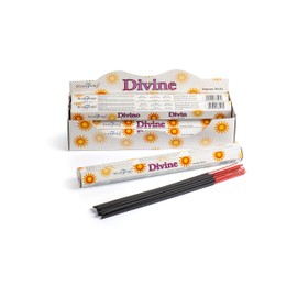 STAMFORD INC 37527 Divine Incense, 20 Sticks x 6 Packs, One Size