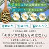 沖縄 有機 モリンガ サプリメント 有機JAS認証 30g(約300粒) ×3袋