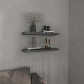 TREATLIFE HOME Elegant Floating Shelves for Stylish Organization, 2 Spacious Shelves, Matt Gray Finish, Homes and Offices