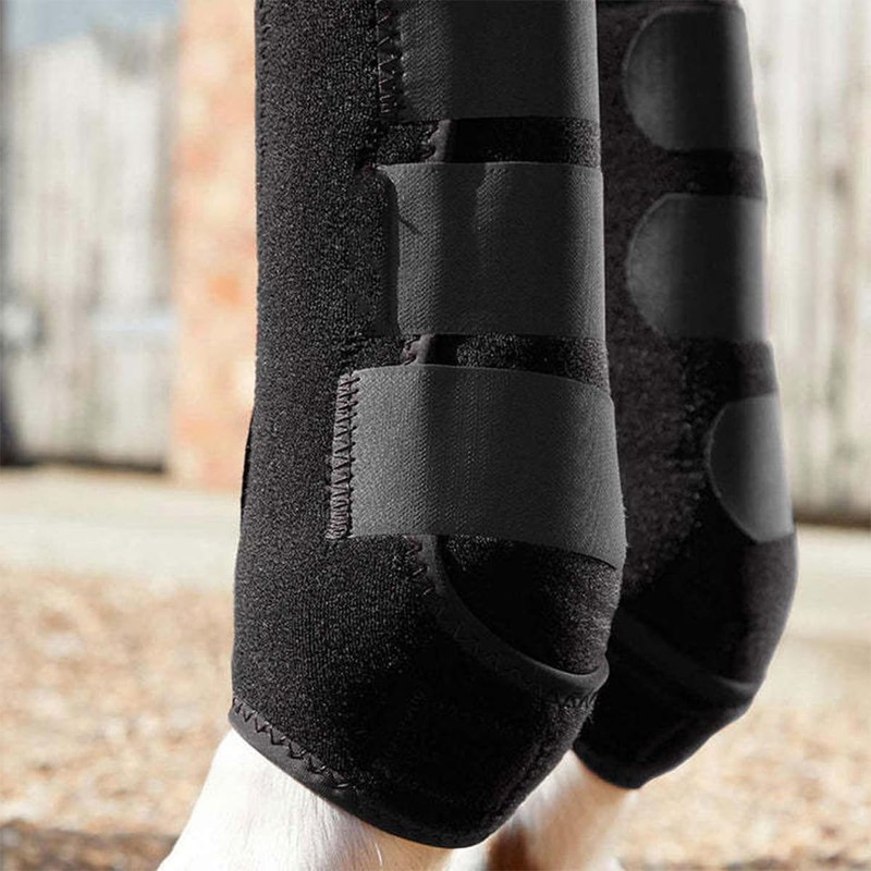 Sarini 2PCS Hind Legs Horse Leg Guard Tendon Boot Horse