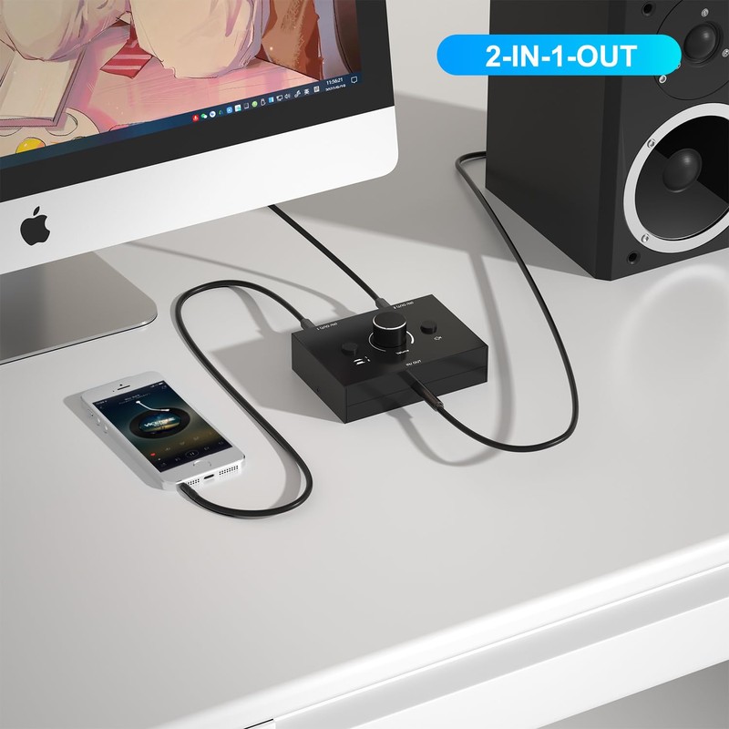Dingsun 3.5mm Audio Switch, Stereo Audio Selector Box Passive Speaker