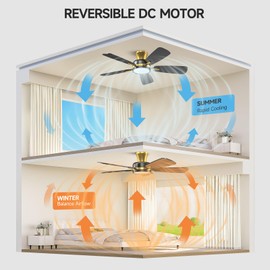 TALOYA Ceiling Fans with Lights and Remote, 46 Inch Low Profile Ceiling Fan with Light, Flush Mount, Reversible, 3CCT, Dimmable Modern Ceiling Fan for Bedroom, Living Room, Outdoor Patio, Black Gold