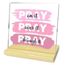 Pink Office Desk Accessories Decor Sign, Pink Dorm Room Decor for Women Acrylic Desk Decor with Wood Base(4 X 4 Inches)