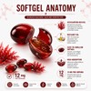 coycozy Astaxanthin 12mg Natural 90 Softgels Astaxanthin Supplement Antioxidant Support