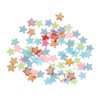 The Bead and Button Box - 10g of Tiny Star