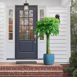 espidoo Ceramic Flower Pots Set of 3: Modern Antique Blue Planters for Indoor & Outdoor - 15" Glossy Finish with Drainage Hole for Patio Garden Windowsill