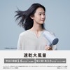 Panasonic EH-NE5M-H Dryer, Negative Ion, Quick Drying, Large Airflow, Dark