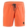 O'Neill Popup Shorts